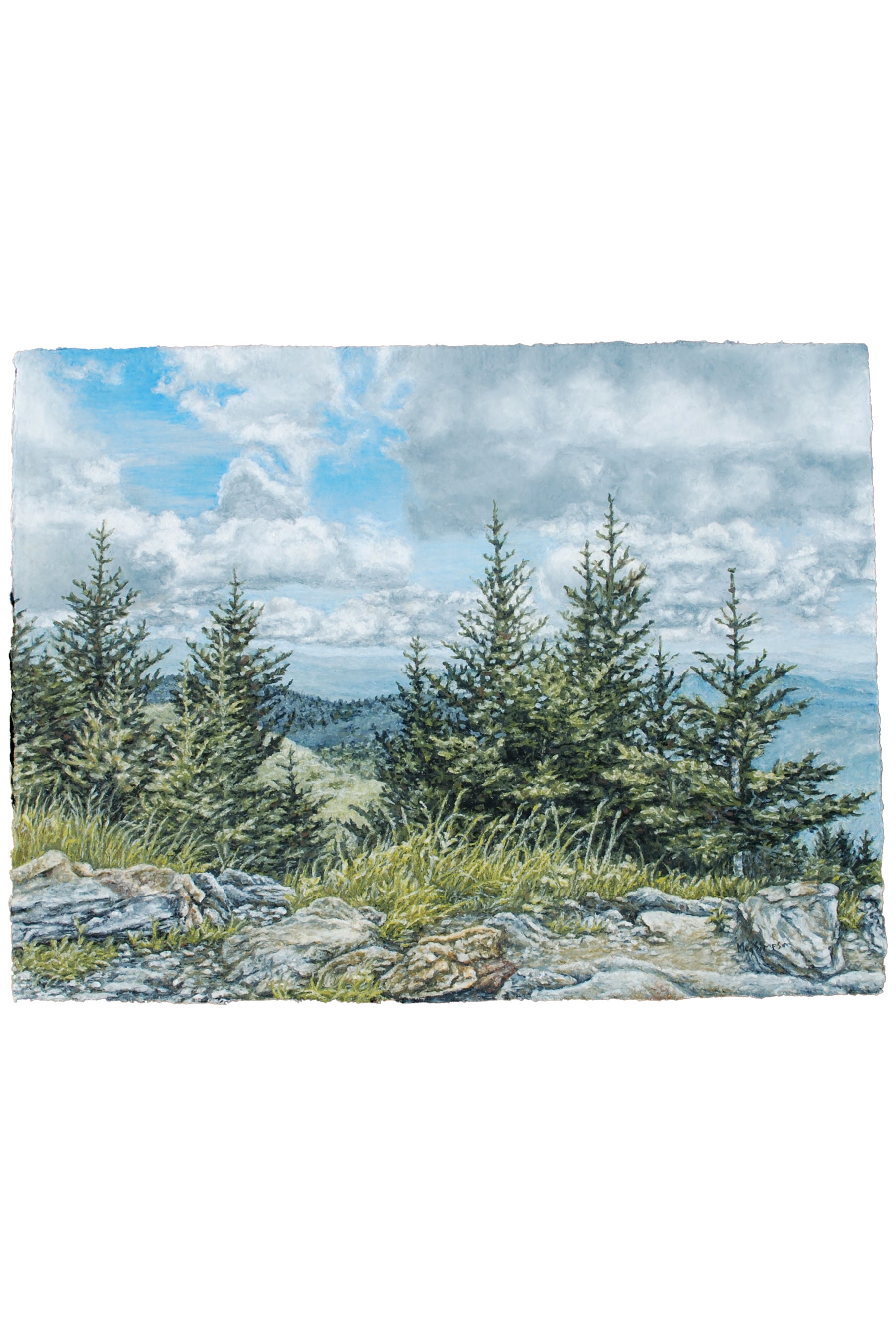 Rocky Top Pines - Original
