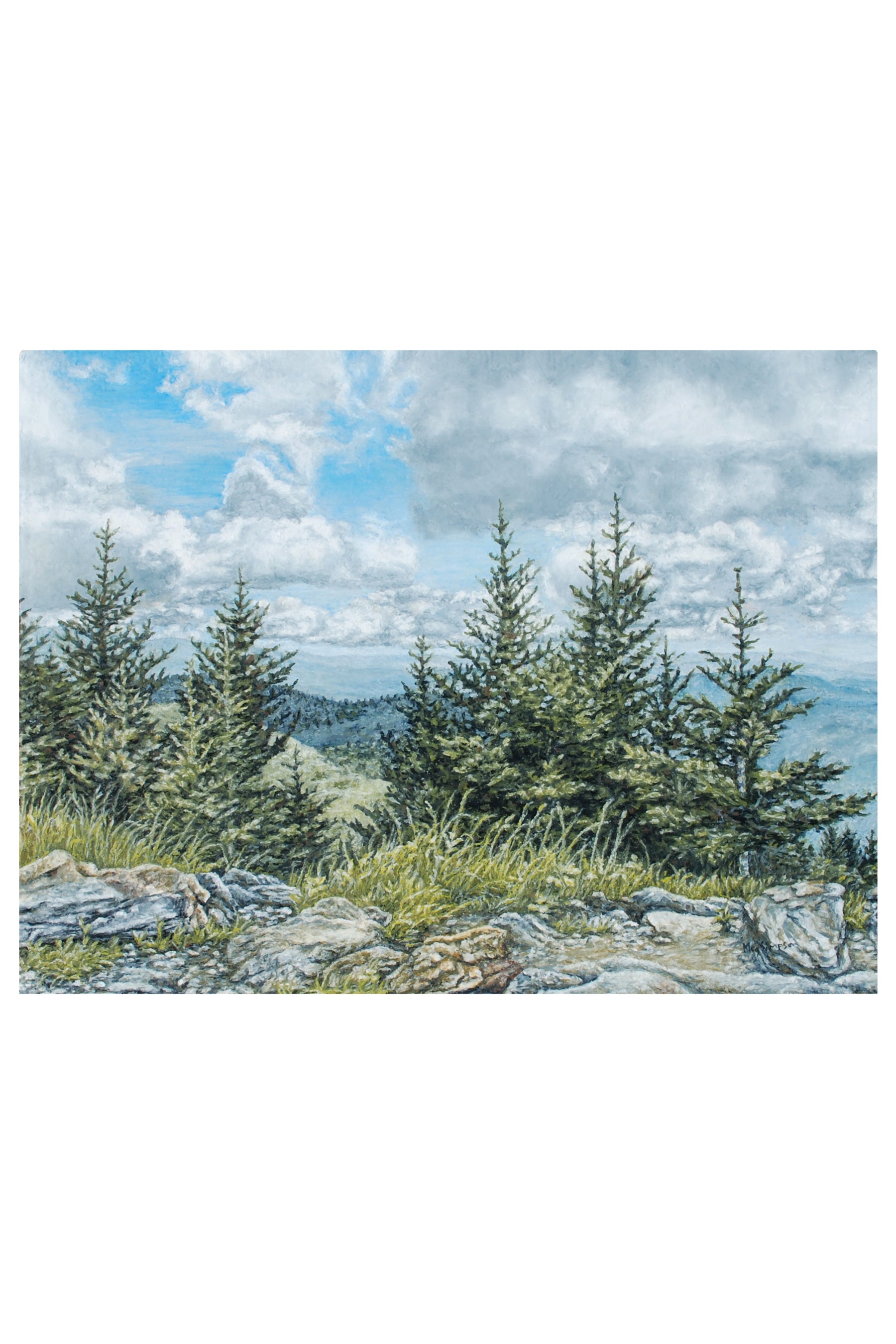 Rocky Top Pines - Print