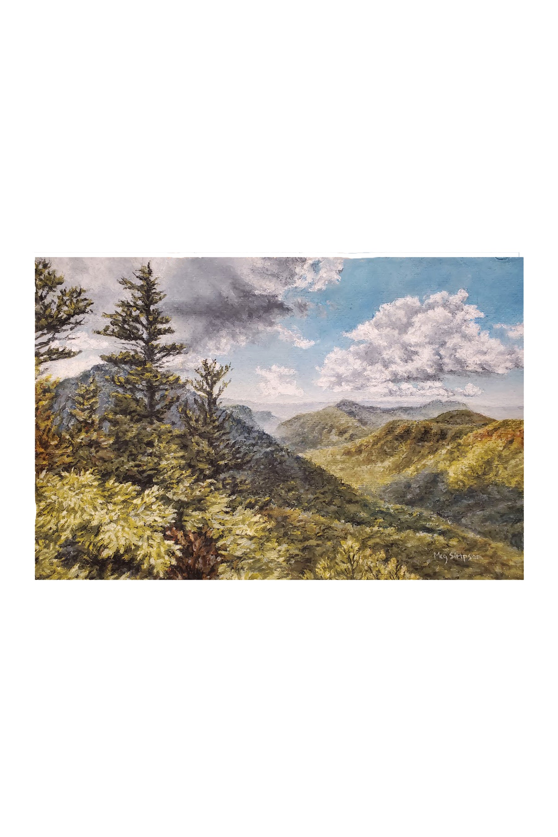 Sitting Bear - Print