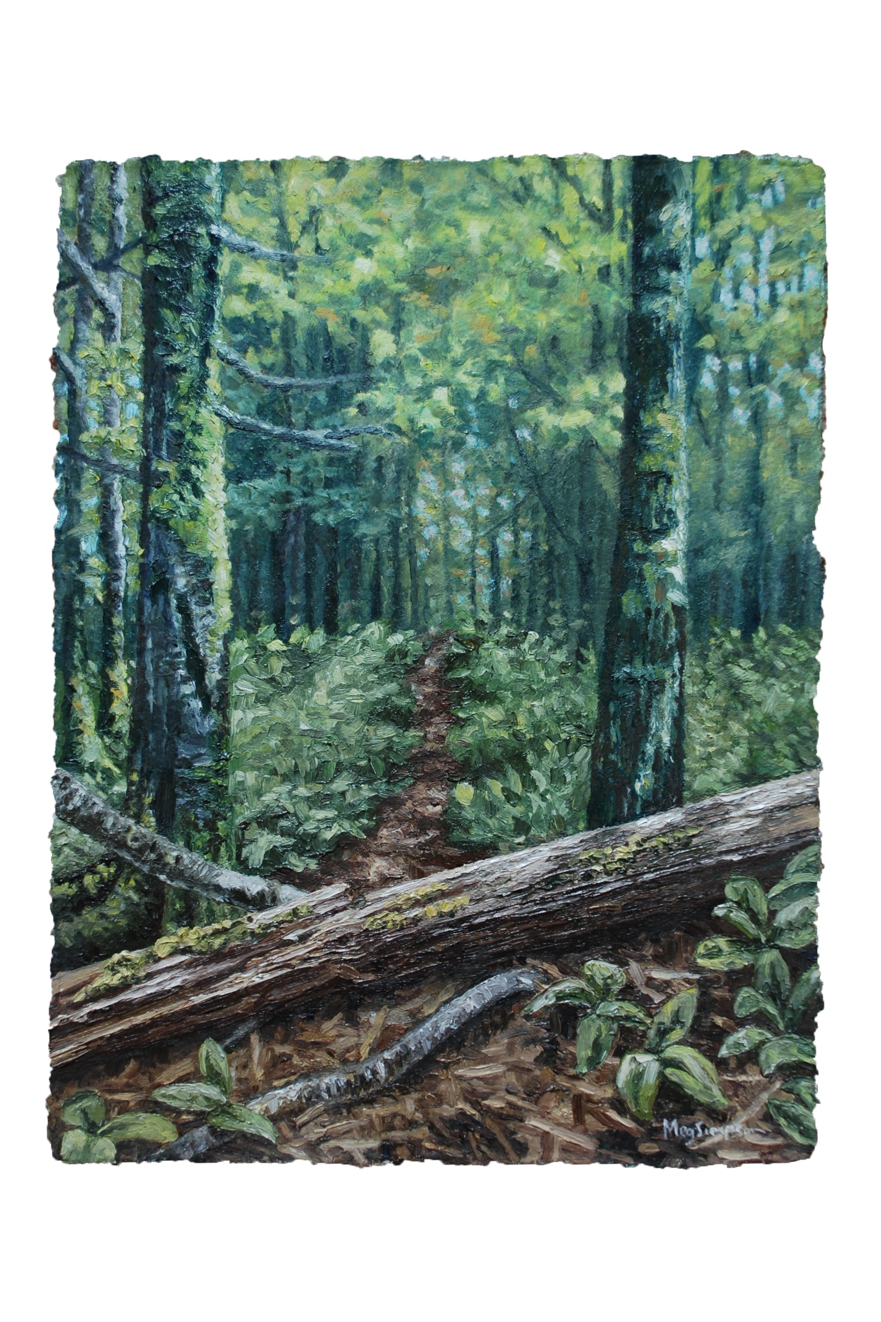 Walk Through The Woods - Original