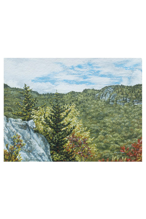 Prints