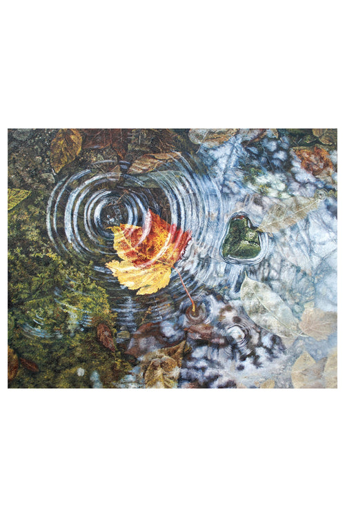 A Splash of Fall - Original