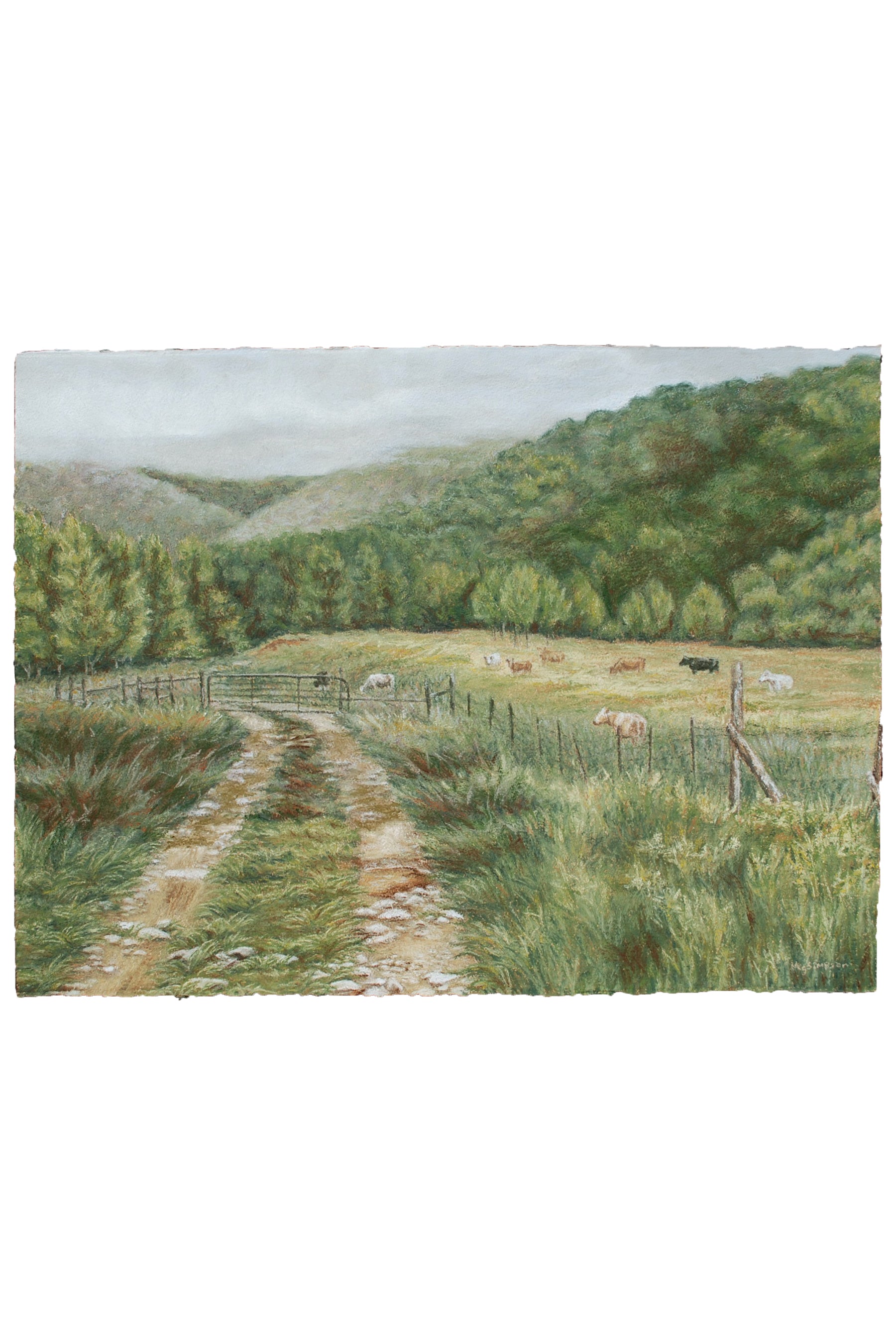 Cow Pasture - Original