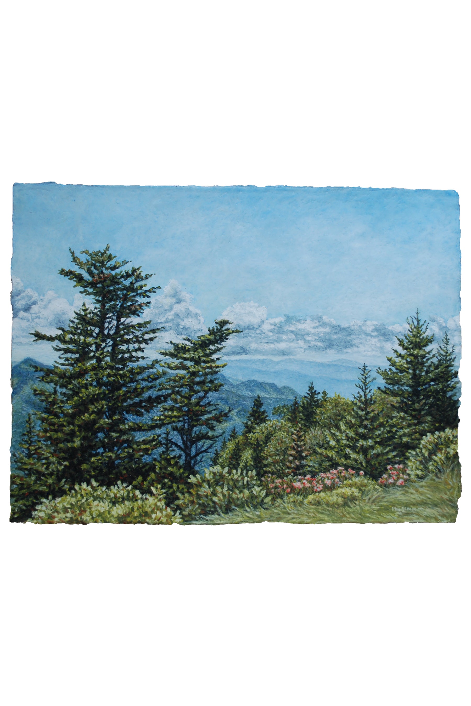 Waterrock Knob Overlook - Original
