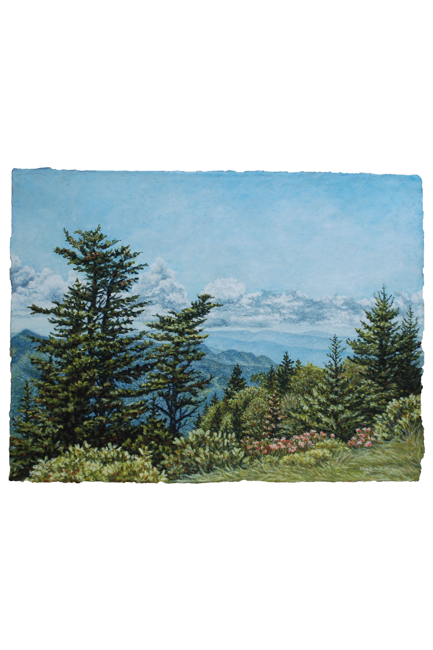 Waterrock Knob Overlook - Original
