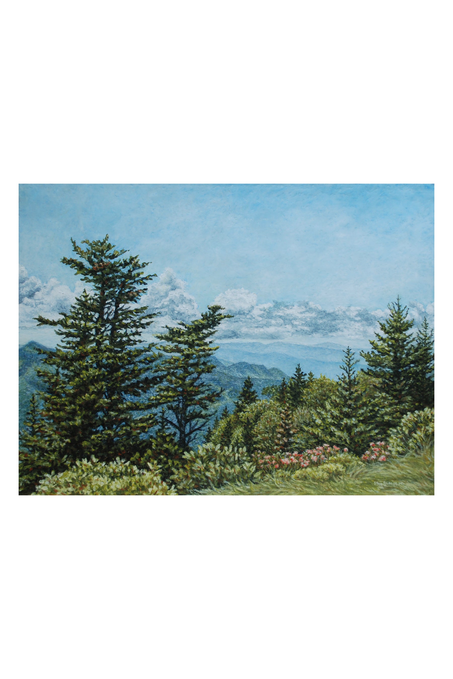Waterrock Knob Overlook - Print