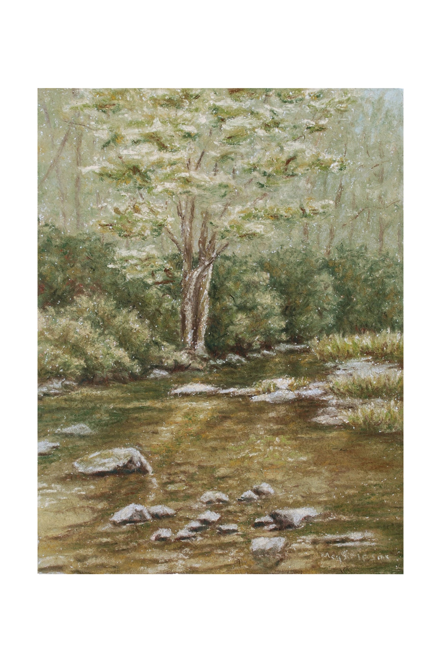 Wilson Creek - Print