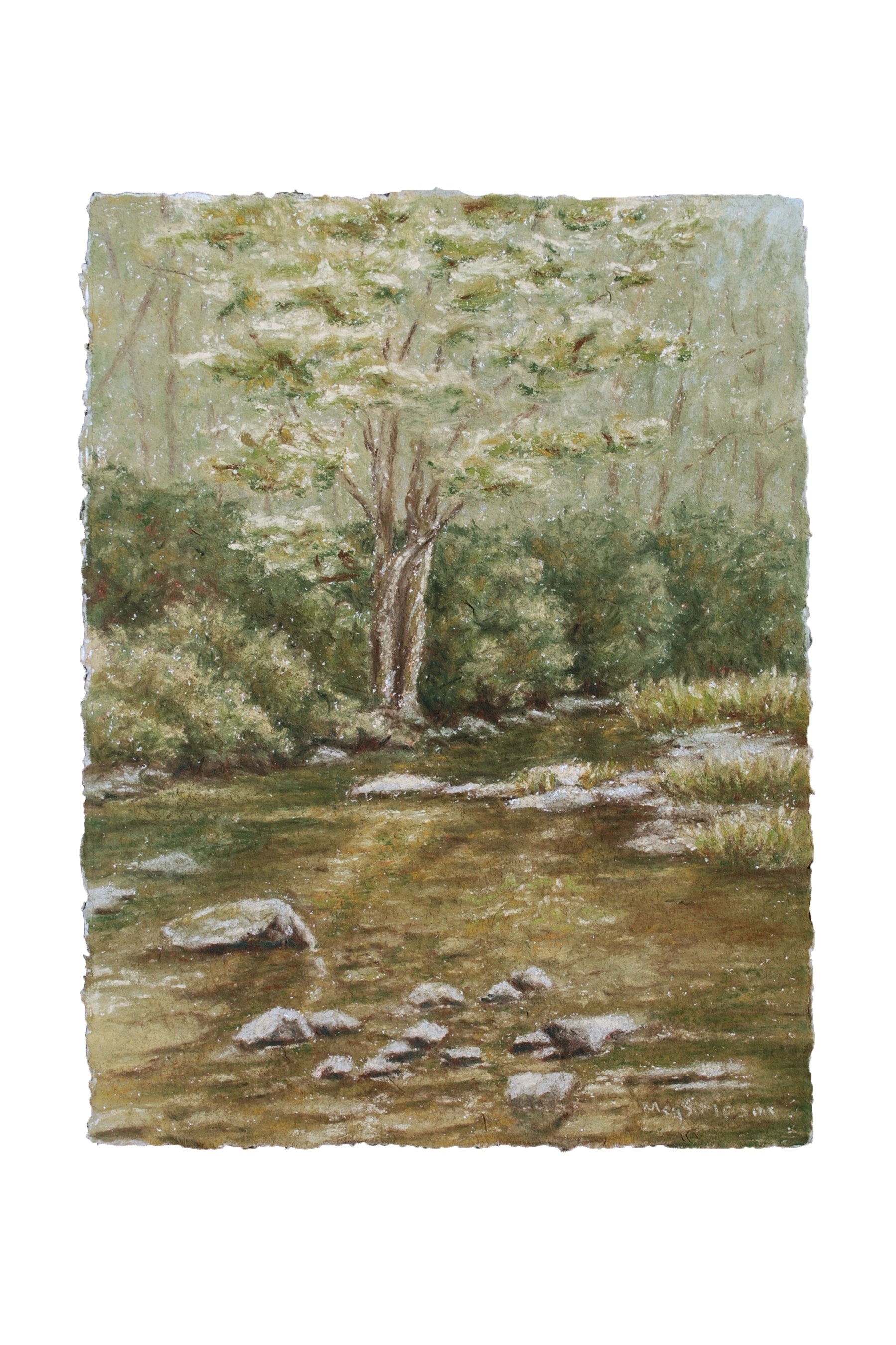 Wilson Creek - Original